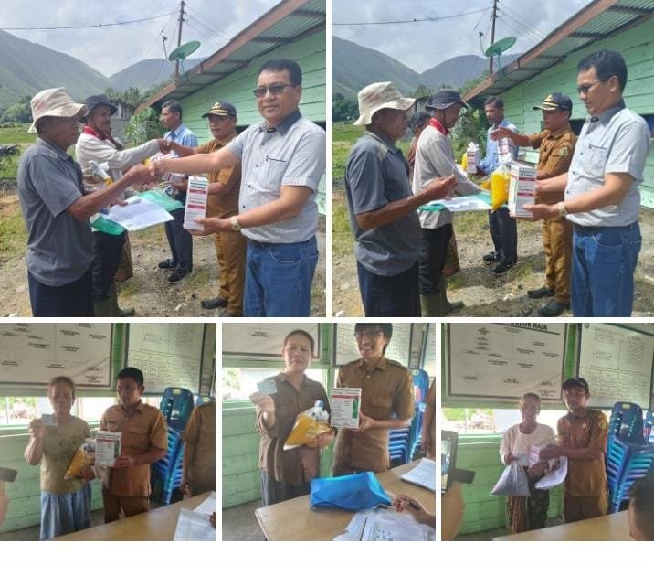 Kasi PMD Kecamatan Harian Hadiri Penyaluran Bibit jagung dan calaris kepada 120 KPM Di Desa Dolok Raja 