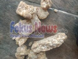 Atasi Stunting Dengan Tempe Busuk, Dibagikan Oleh Pemerintah Desa Manalu Dolok Kec Parmonangan Kepada Warganya