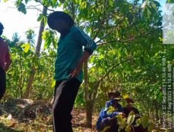 Liput Perambahan Hutan Oknum Kades Intimidasi Wartawan