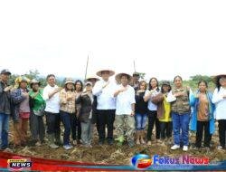 Bupati Samosir Vandiko Gultom Dan Kepala BBPPTP Medan Bersama Kelompok Tani Melakukan Penanaman Bibit Kopi di Kawasan Pertanian Terpadu Hariara Pintu
