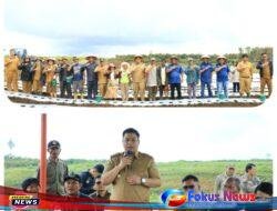 Bupati Samosir & DPRD Samosir Bersama Petani Lakukan Penanaman Kentang di KPT Hariara Pintu