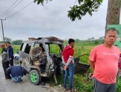 Laka Lantas Mini Bus Berpenumpang 15 Anak Sekolah Tabrak Pohon Di Kabupaten Toba