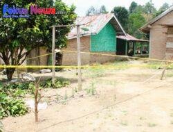 Pembunuhan Saudara Sekandung Terjadi di Kabupaten Samosir karena Tanaman Ubi