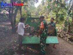Antisipasi (Tanggap Bencana) Babinsa Jajaran Kodim 1621/TTS Sertu Nahason Bantu petugas PLN Perbaiki Kabel Listrik
