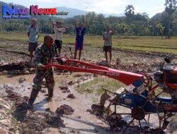 Babinsa Kodim 1621/TTS Bantu Petani Bajak Sawah Guna Membantu Percepatan Kesiapan Tanam di Wilayah Binaan