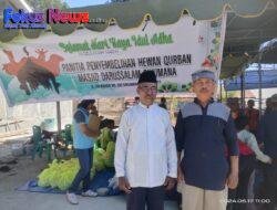 Merajut Silahturahmi Masjid Darussalam Sikumana Berbagi Hewan Kurban
