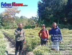 Kades Fafinesu Memberi Dukungan Kepada Inisiatif Masyarakat yang Mengembangkan Potensi Lahan Kering Menjadi Sumber Mata Pencaharian