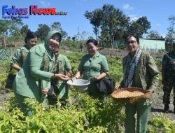 Danrem 161/WS Brigjen TNI Joao Xavier Tinjau Lahan Pertanian Hasil Pompa Hidram Bantuan TNI AD