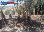 Budayakan Hidup Gotong Royong, Babinsa Koramil 01 Kota So’e Bantu Warga Bersihkan Kebun