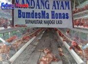 Bumdesma Sipahutar Diambang Kebangkrutan, Warga Kecamatan Sipahutar : Ada Udang Dibalik Bakwan