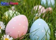 Mewarnai Paskah di Harper Kupang: Brunch Lezat dan Perburuan Telur Seru untuk Keluarga