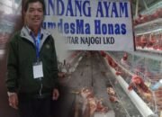 Bumdesma Ayam Petelur Tinggal Nama Dan Kandang, Anggiat Pardede : Harus Diusut Tuntas, Polres Taput Dan Kejari Taput Harus Segera Lakukan Penyelidikan, Itu Uang Rakyat..!
