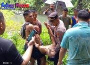 Remaja Tewas Tenggelam di Kolam  Aer Ujang Bitung, Evakuasi Dipimpin Kapolsek Ranowulu