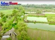 Mengenal Desa Rejoagung, Potensi Desa Meningkat Setelah Program Penataan Akses Reforma Agraria
