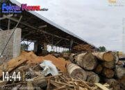 Pengguna Jalan Resah Dengan Kegiatan Pengolahan Kayu Di Jalan Tarutung – Sipahutar, Warga Desak APH Untuk Bertindak