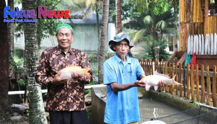 Tingkatkan Perekonomian Masyarakat, Kampung Reforma Agraria Desa Bandung Kembangkan Pembibitan dan Budidaya Ikan