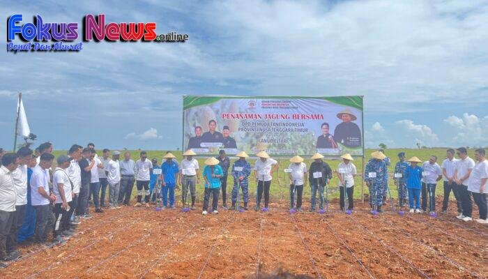 Kegiatan penanaman jagung yang diinisiasi oleh Pemuda Tani NTT