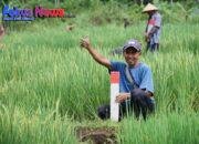 Mudik ke Kampung Halaman? Jaga Batas Tanah sebagai Langkah Awal Cegah Konflik Antartetangga