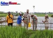 Mau Ikut PTSL? Ketahui Biaya Persiapannya yang Berlaku di Masing-Masing Wilayah