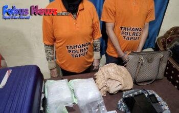 Polres Taput Berhasil Ungkap Pengiriman Narkoba Lewat Bandara Silangit, 2 Pelaku Berhasil Diamankan