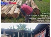 Apresiasi Luar Biasa ! Keberanian Gakkum Sumatera Sikat Mafia Ilegal Logging Labura dari Hulu hingga Hilir Tuai Pujian Masyarakat.