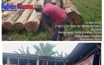 Apresiasi Luar Biasa ! Keberanian Gakkum Sumatera Sikat Mafia Ilegal Logging Labura dari Hulu hingga Hilir Tuai Pujian Masyarakat.