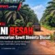 Petani Tanjung Mulia Resah, Dugaan Pencurian Sawit dan Berondolan Minta Diusut