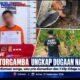 Berawal Informasi Warga, Polsek Torgamba Ungkap Dugaan Narkotika di Teluk Pinang, 1,7 Gram Diduga Sabu Diamankan